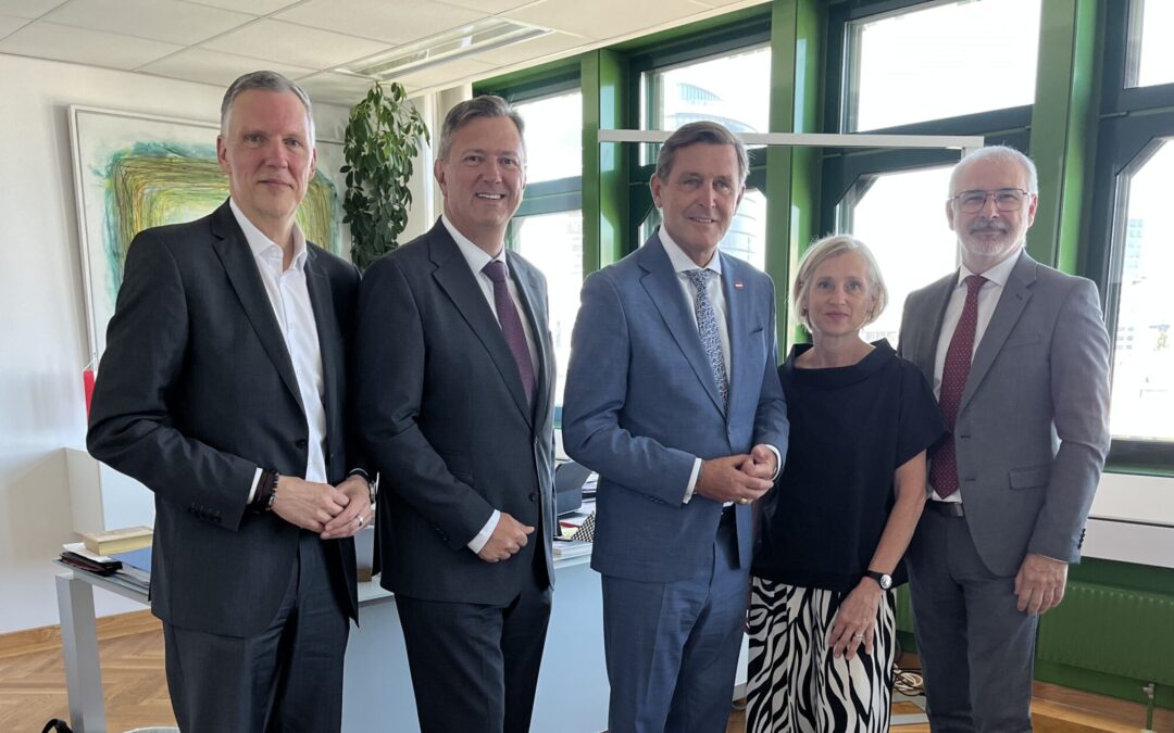 Wasserstraße Donau: Wirtschaft fordert klare Maßnahmen