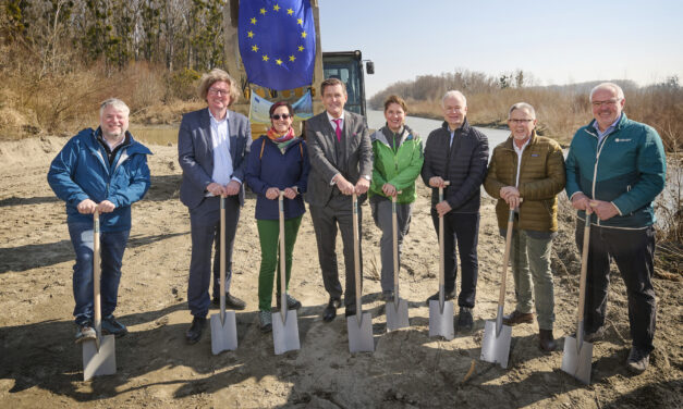 viadonau: Spatenstich für Renaturierung der Paradeisinsel an der Donau