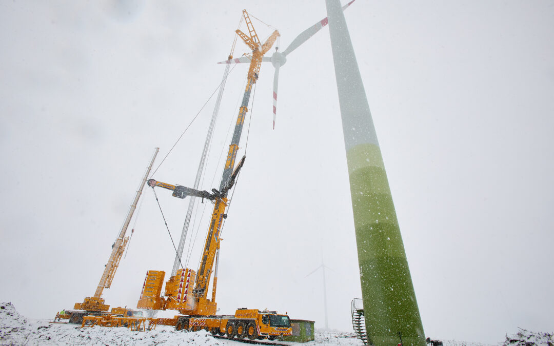 Prangl baut Windräder in Niederösterreich ab