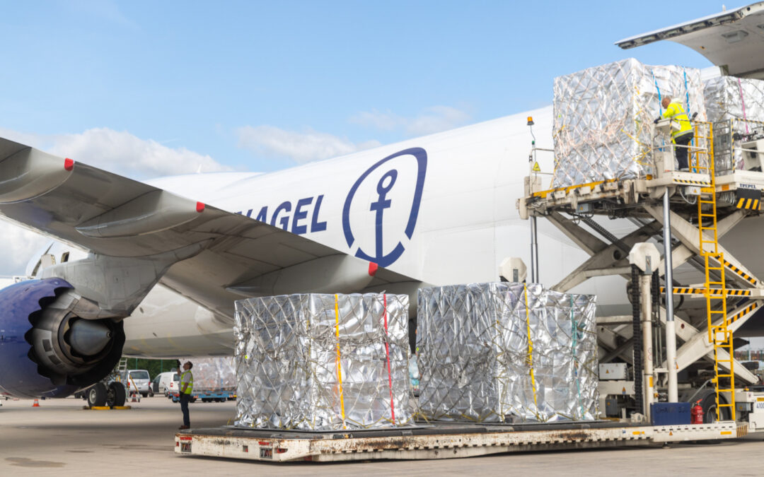 Kuehne+Nagel erweitert globales Netzwerk für Pharmalogistik