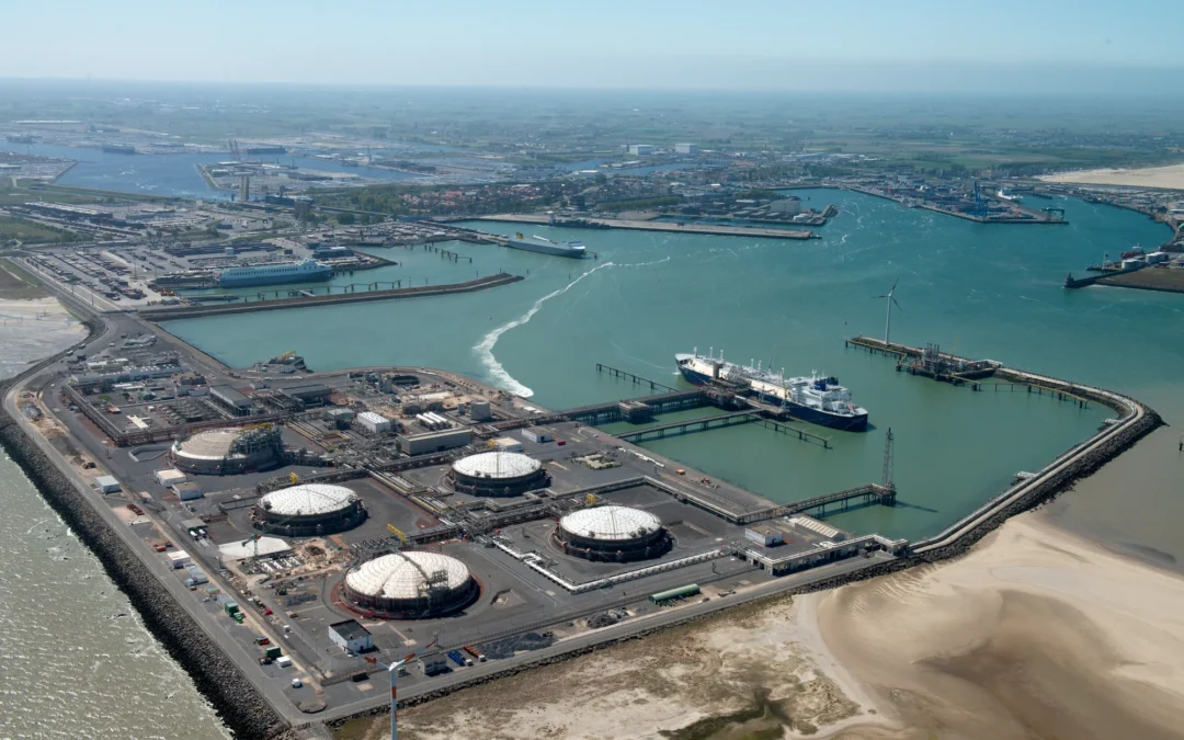 Hafen Antwerpen-Brügge hält Umschlag stabil