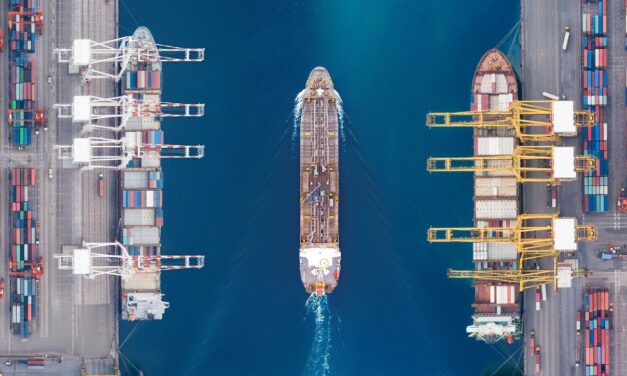 cargo-partner spart 811 Tonnen CO₂e in der Seefracht