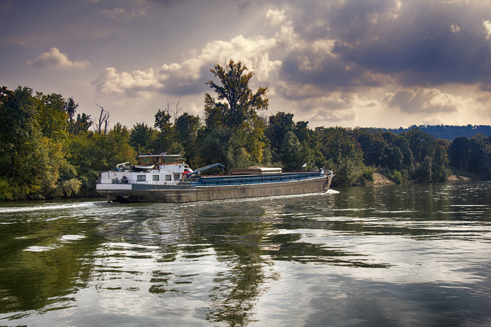 Rhein-Niedrigwasser kostet die Wirtschaft Milliarden