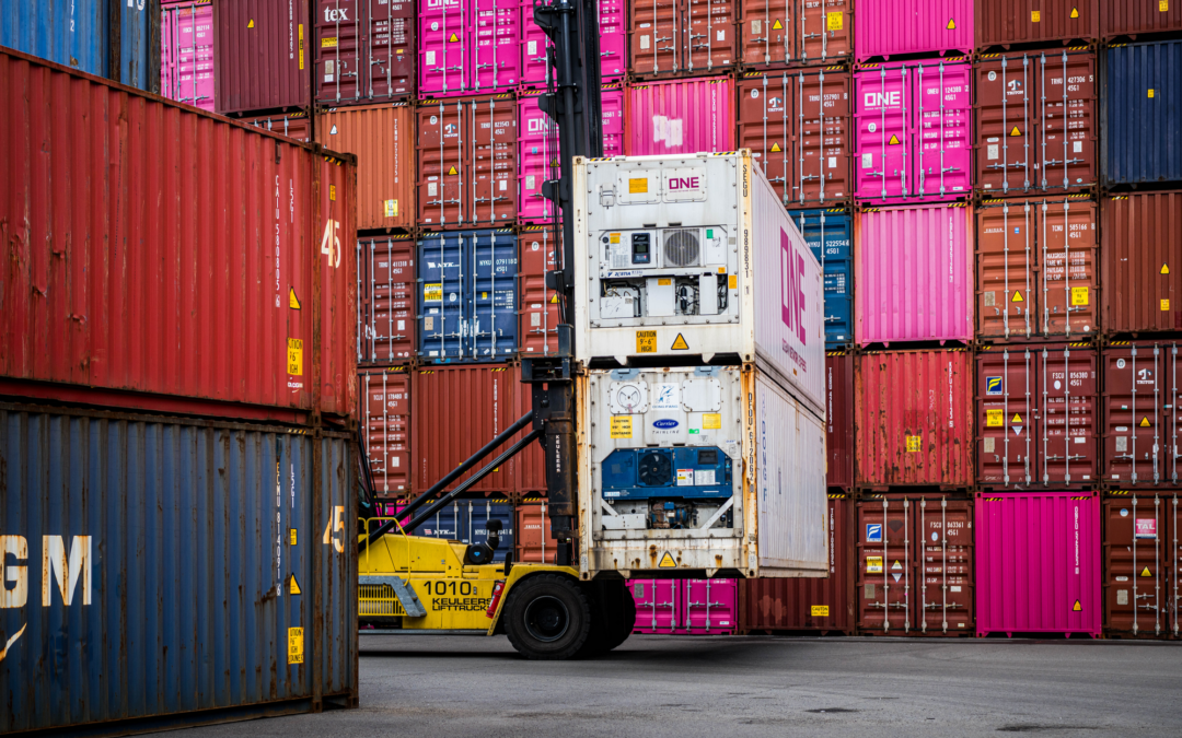 Antwerpen-Brügge: Containerumschlag erholt sich deutlich
