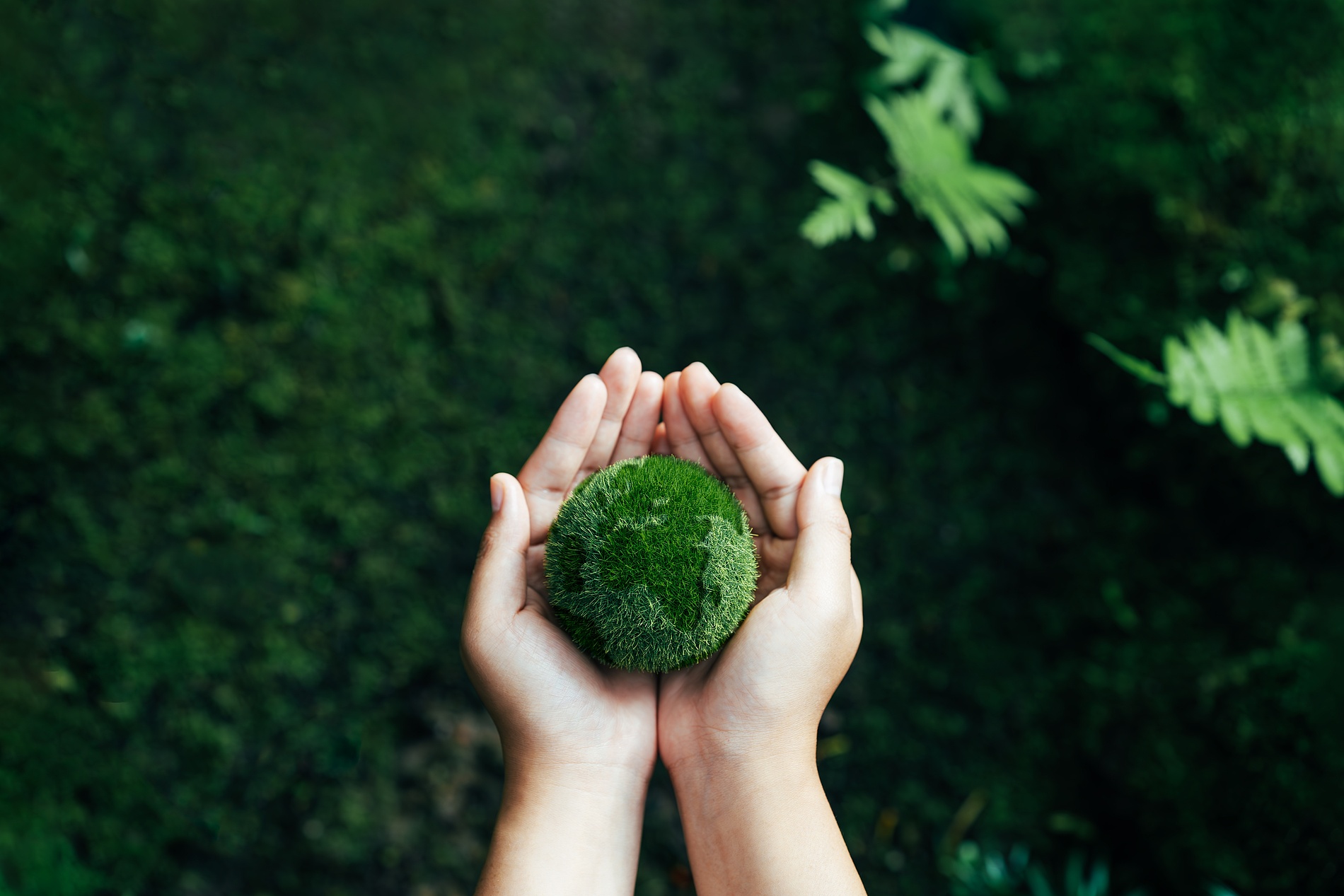 Natur, Nachhaltigkeit, Recycling, Net,Zero,Concept,And,Carbon,Neutral,Natural,Environment,Climate,Neutral