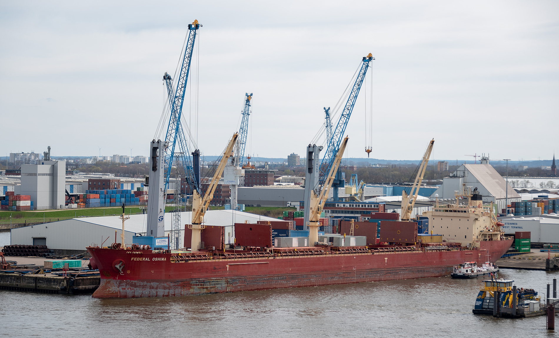 Fednav nimmt Hamburg in Nordamerika-Dienst auf