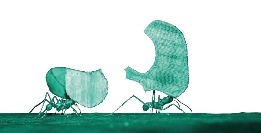 Bild: Fraunhofer Austria